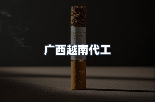 广西越南代工
